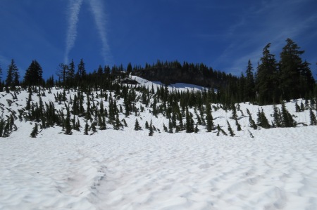 Open snow field
